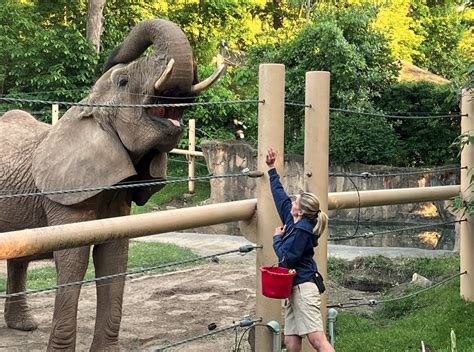 Seneca park zoo - Find out how Zoo programs meet Next Generation Science Standards (NGSS) and New York State P-12 Science Learning Standards, and can be tailored to meet your students’ unique needs. Contact us for details at education@senecazoo.org or 585.336.7213. 